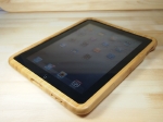 iBamboo_iPad5.JPG